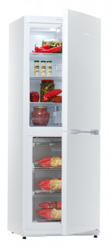 Холодильник SNAIGE RF34SM-S0002G0731