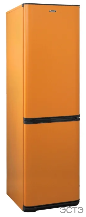 Холодильник БИРЮСА T149